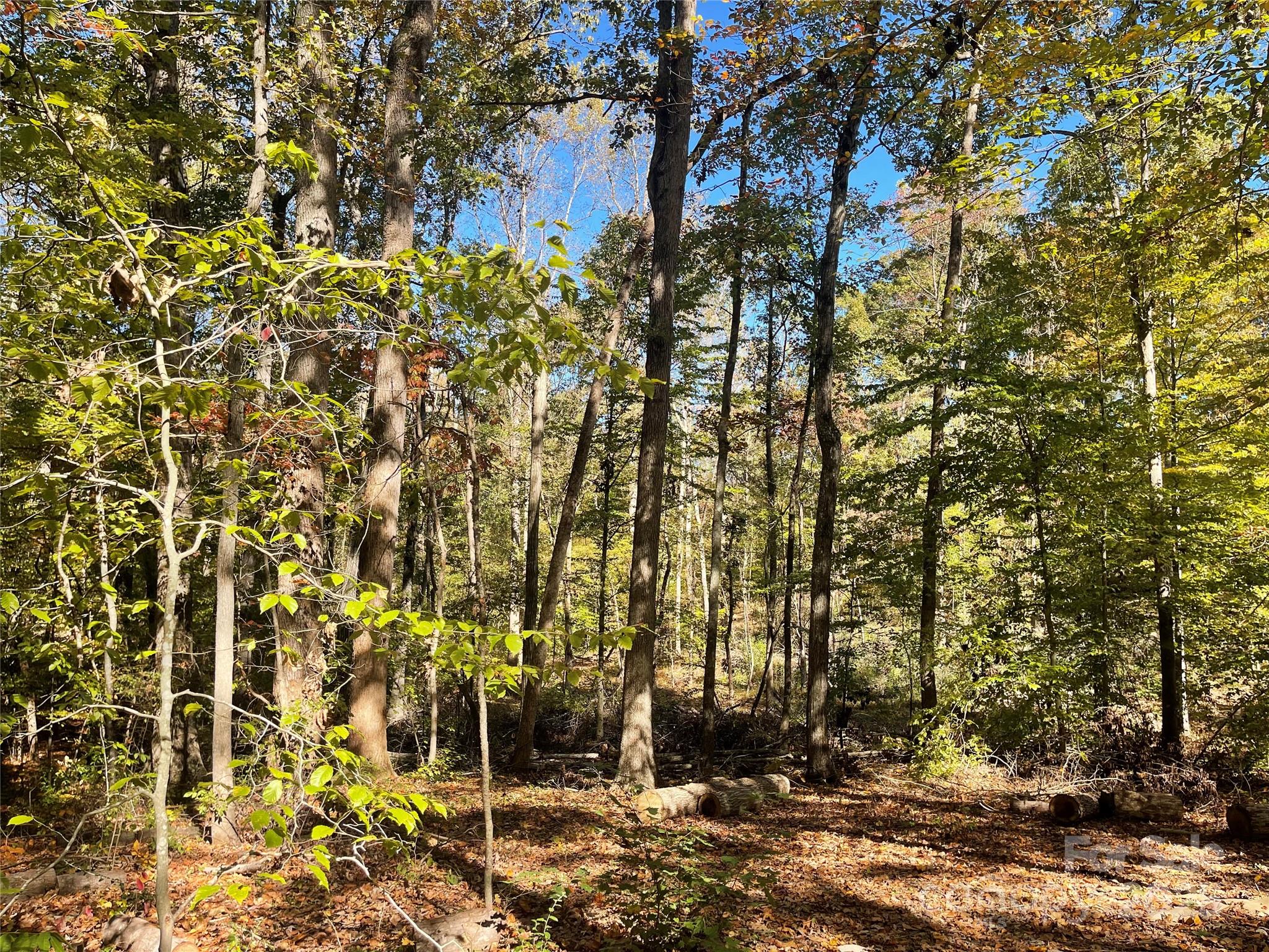 00 Heather Lane Property Photo 3