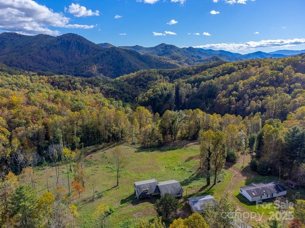 8125 Ellijay Road Property Photo 1