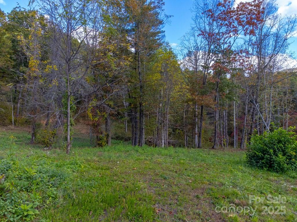 8125 Ellijay Road Property Photo 7
