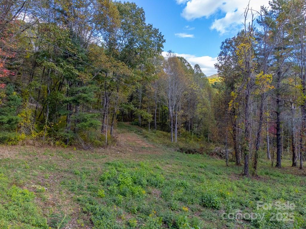 8125 Ellijay Road Property Photo 8