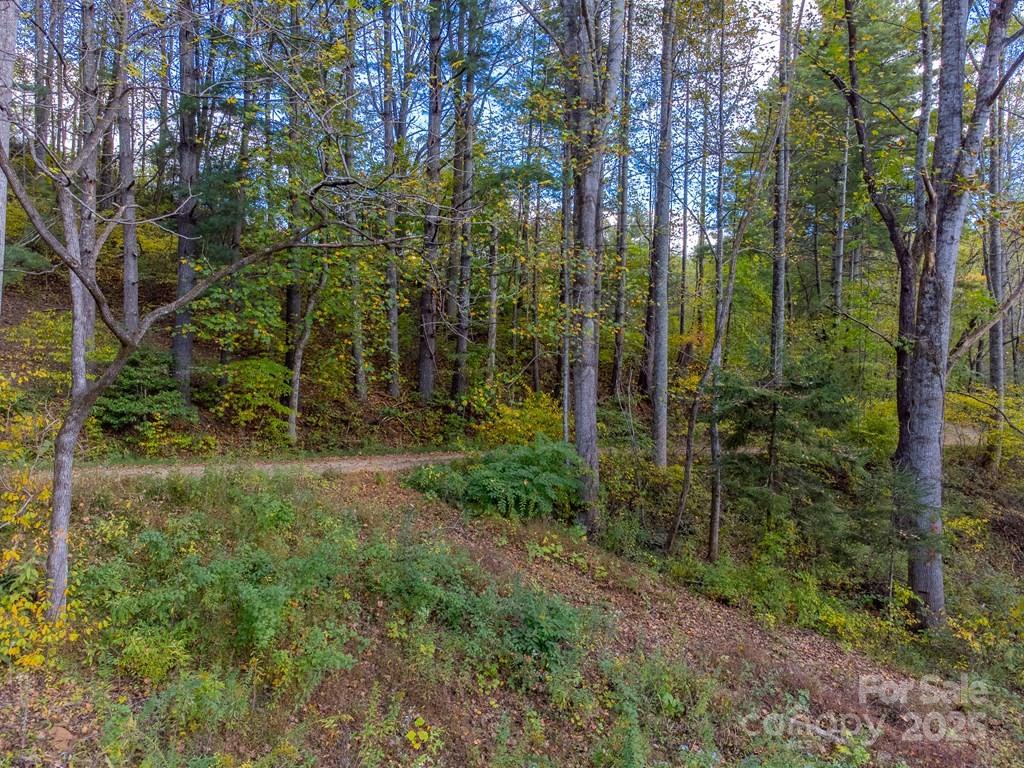 8125 Ellijay Road Property Photo 10