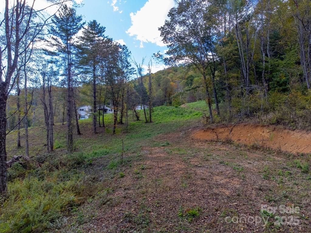 8125 Ellijay Road Property Photo 11