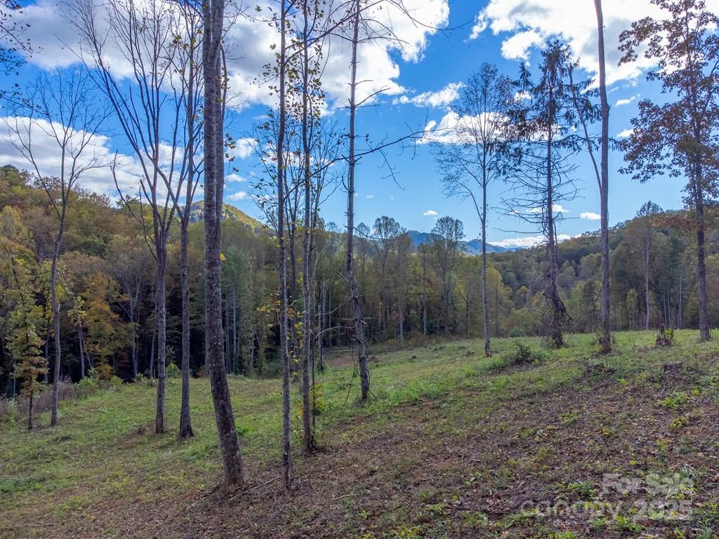 8125 Ellijay Road Property Photo 12