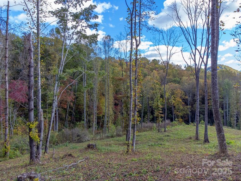 8125 Ellijay Road Property Photo 13
