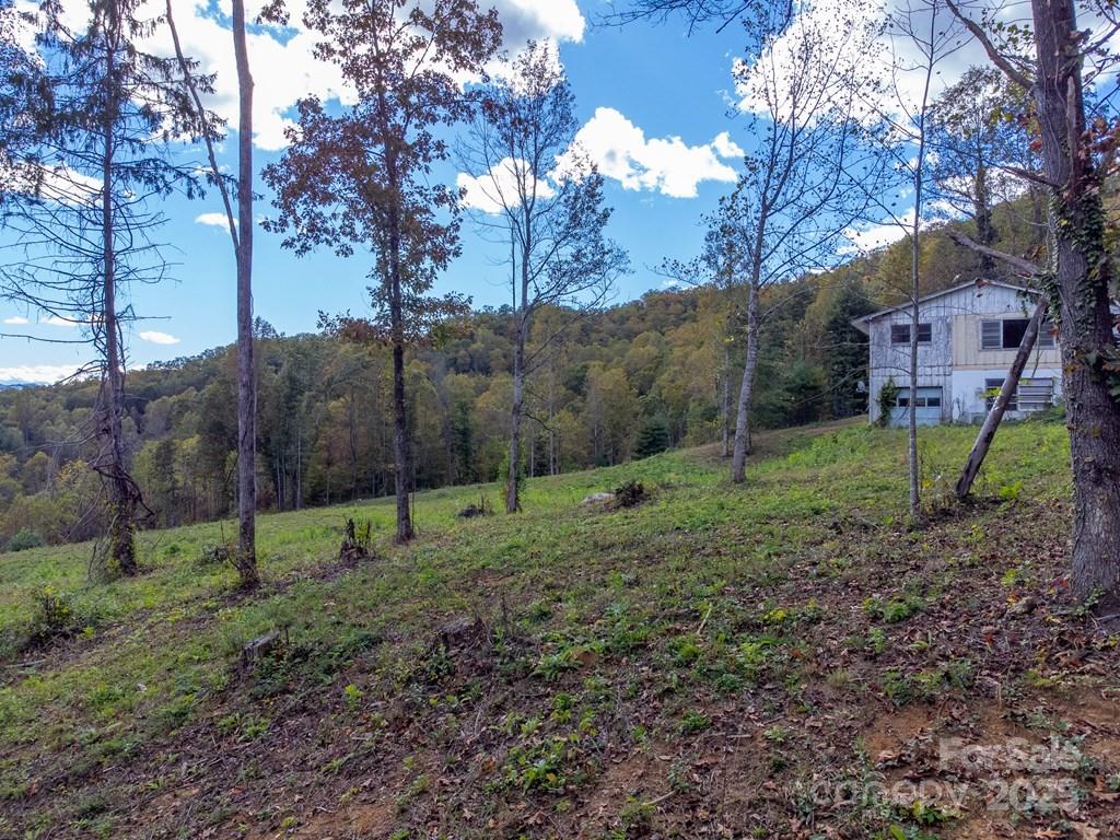 8125 Ellijay Road Property Photo 14