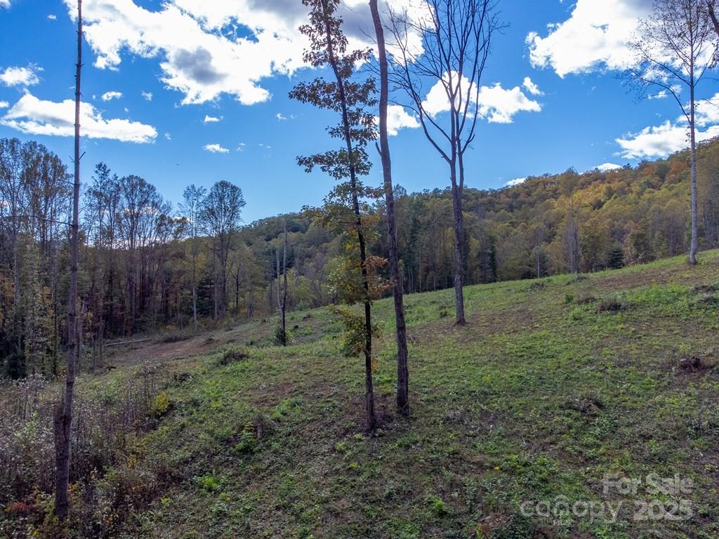 8125 Ellijay Road Property Photo 15
