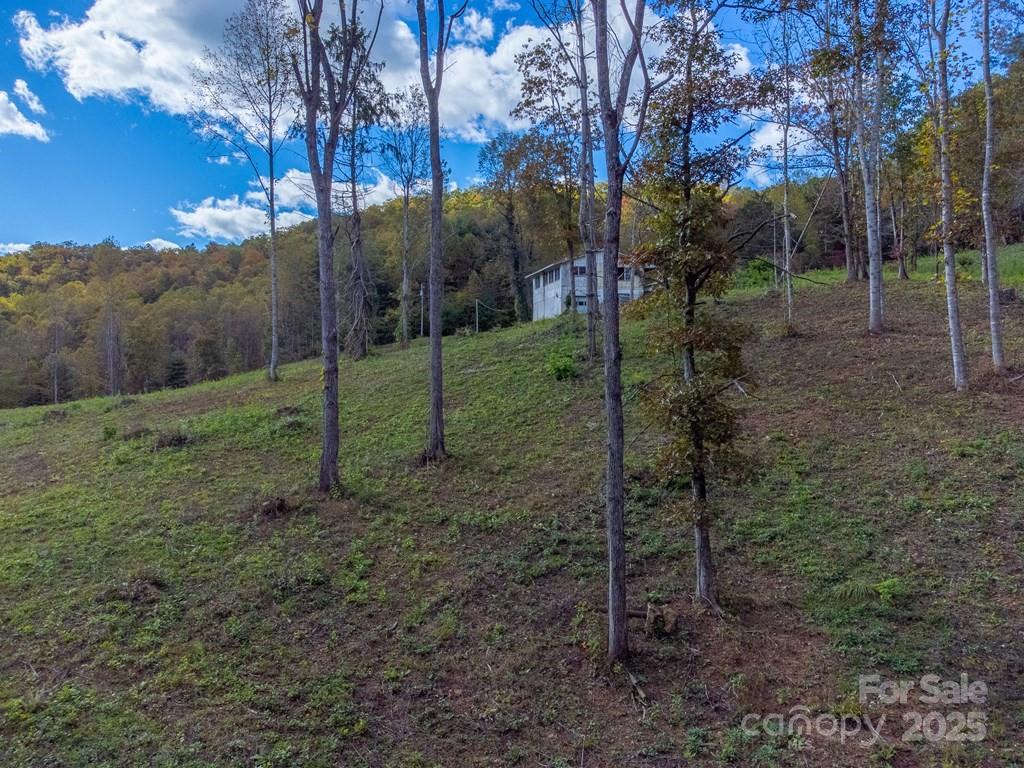 8125 Ellijay Road Property Photo 16