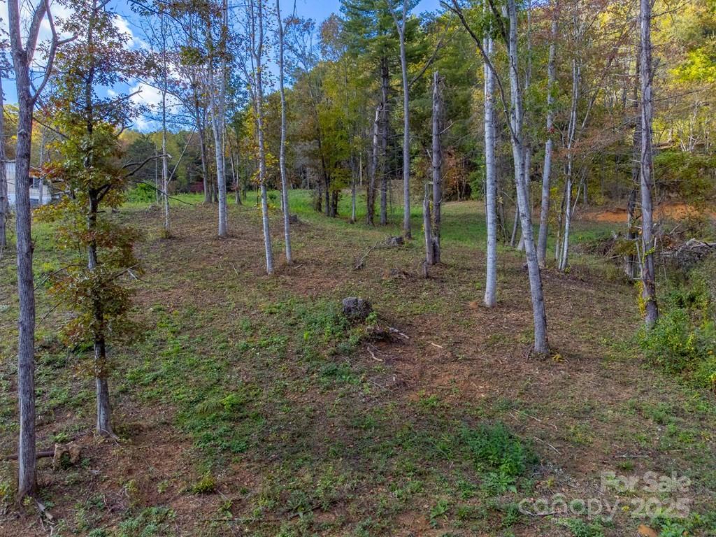 8125 Ellijay Road Property Photo 17