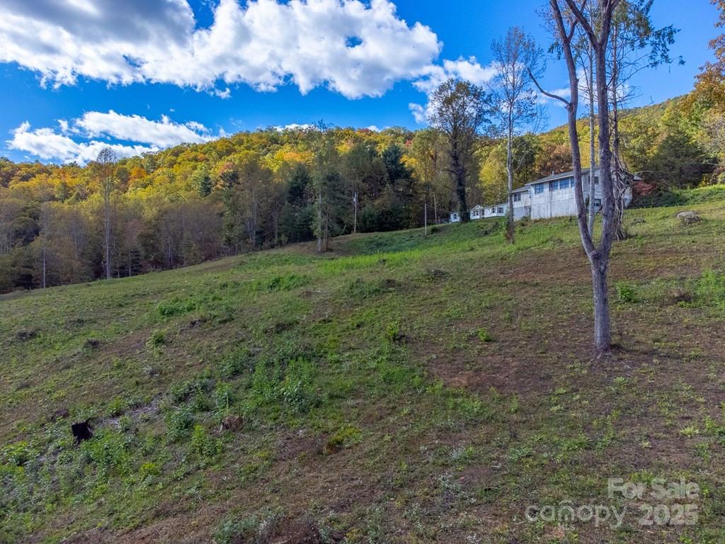 8125 Ellijay Road Property Photo 18