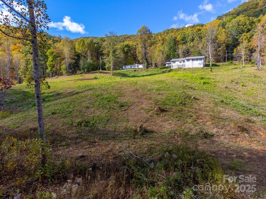 8125 Ellijay Road Property Photo 19