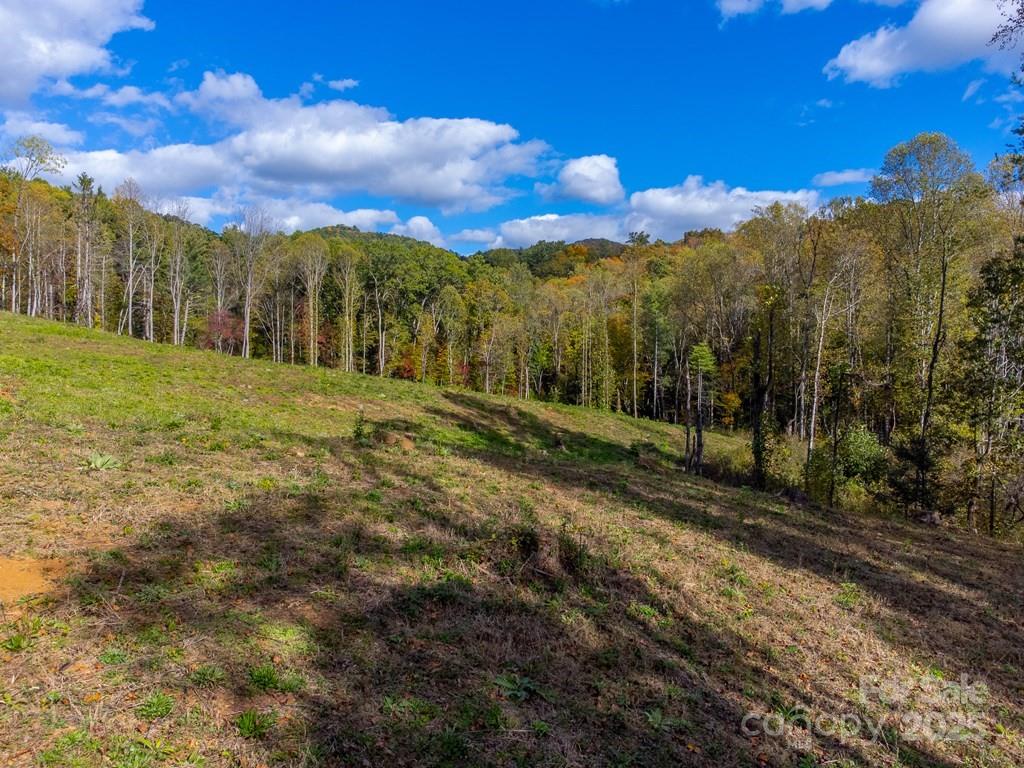 8125 Ellijay Road Property Photo 23