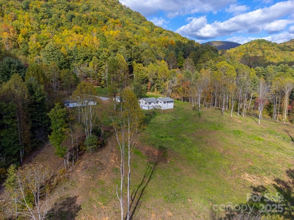8125 Ellijay Road Property Photo 25