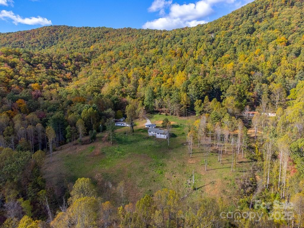 8125 Ellijay Road Property Photo 26