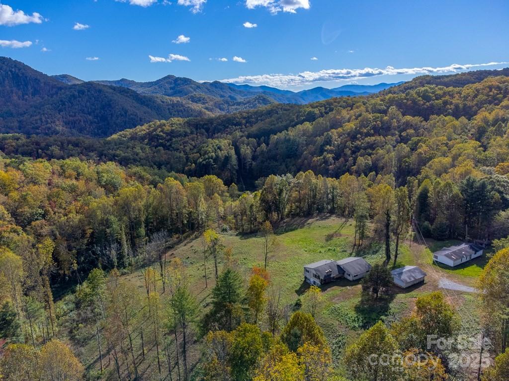 8125 Ellijay Road Property Photo 27