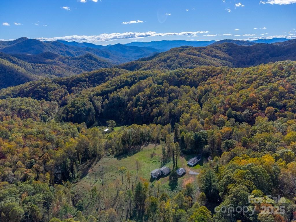 8125 Ellijay Road Property Photo 32