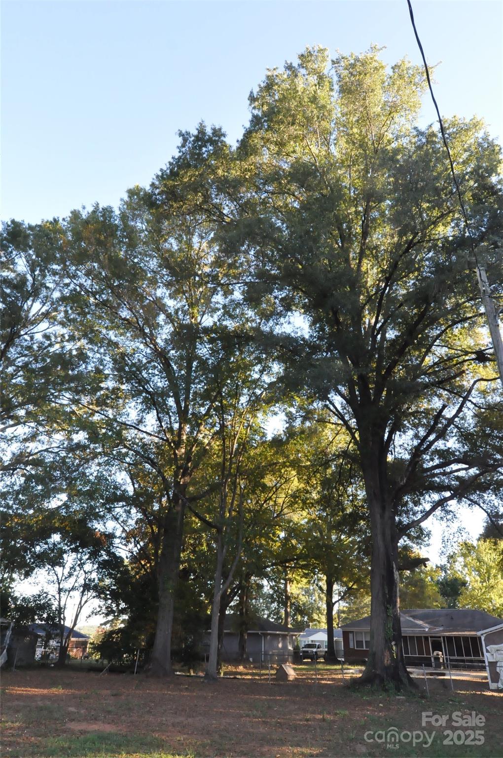 109 Hardin Street Property Photo 22