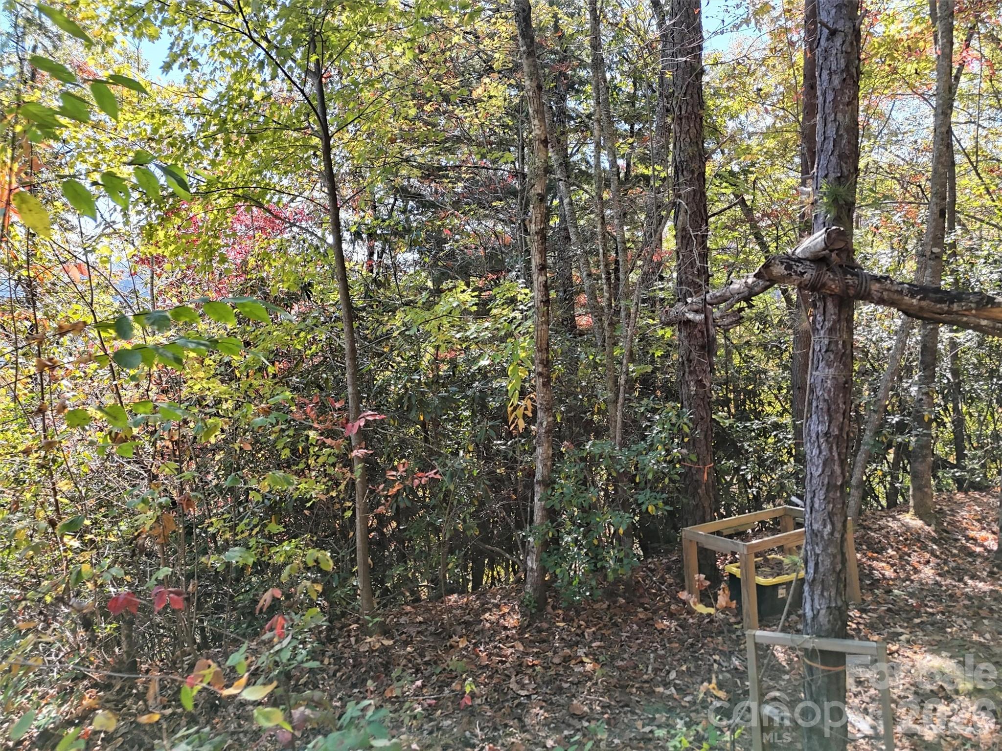 0 Mack Luke Road 6 Property Photo 10