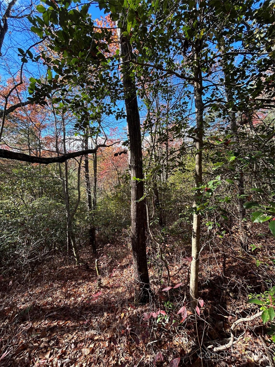Lot 3 And 4 Oriole Road Property Photo 6
