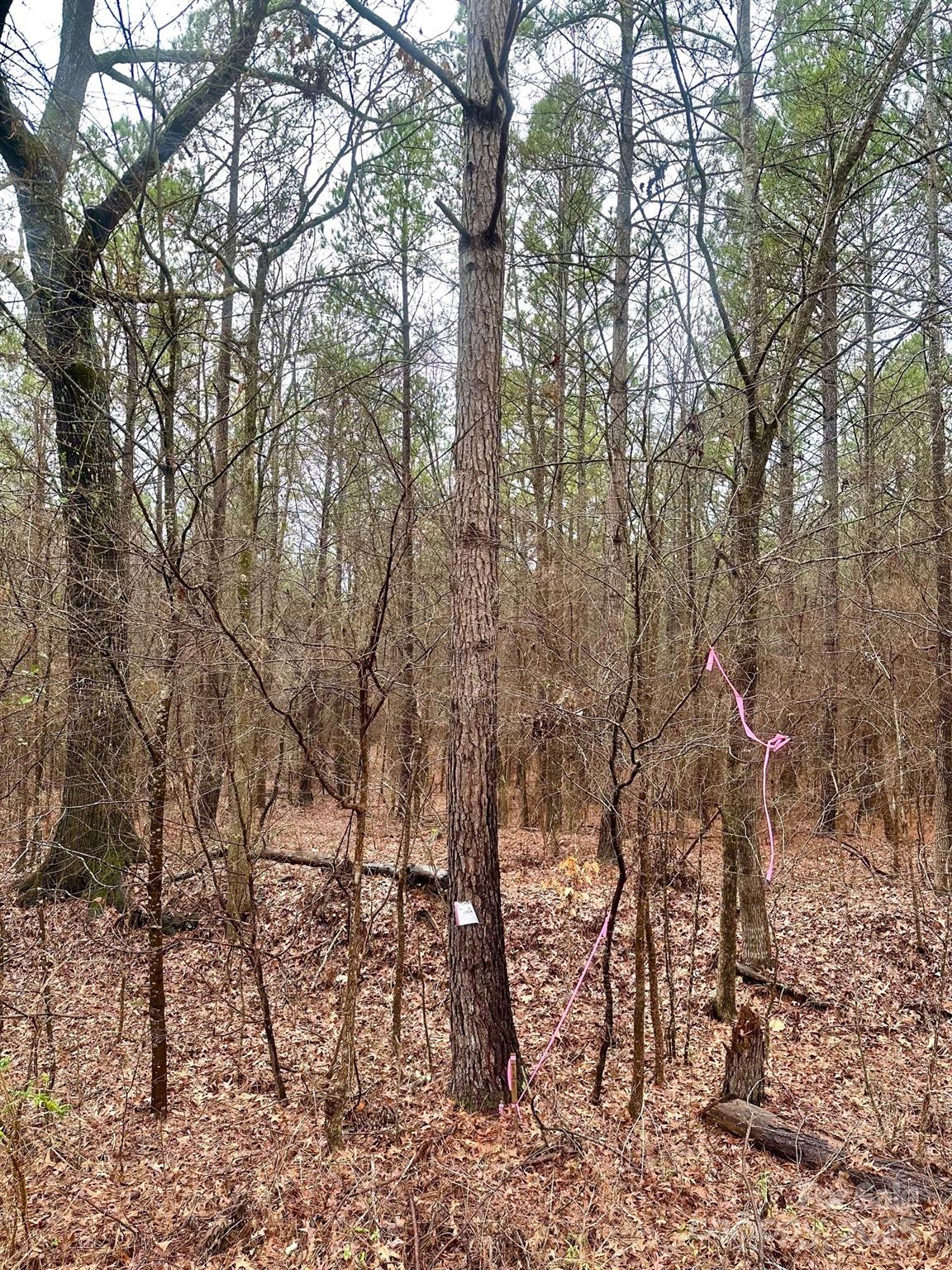1176 Great Falls Highway Property Photo 1
