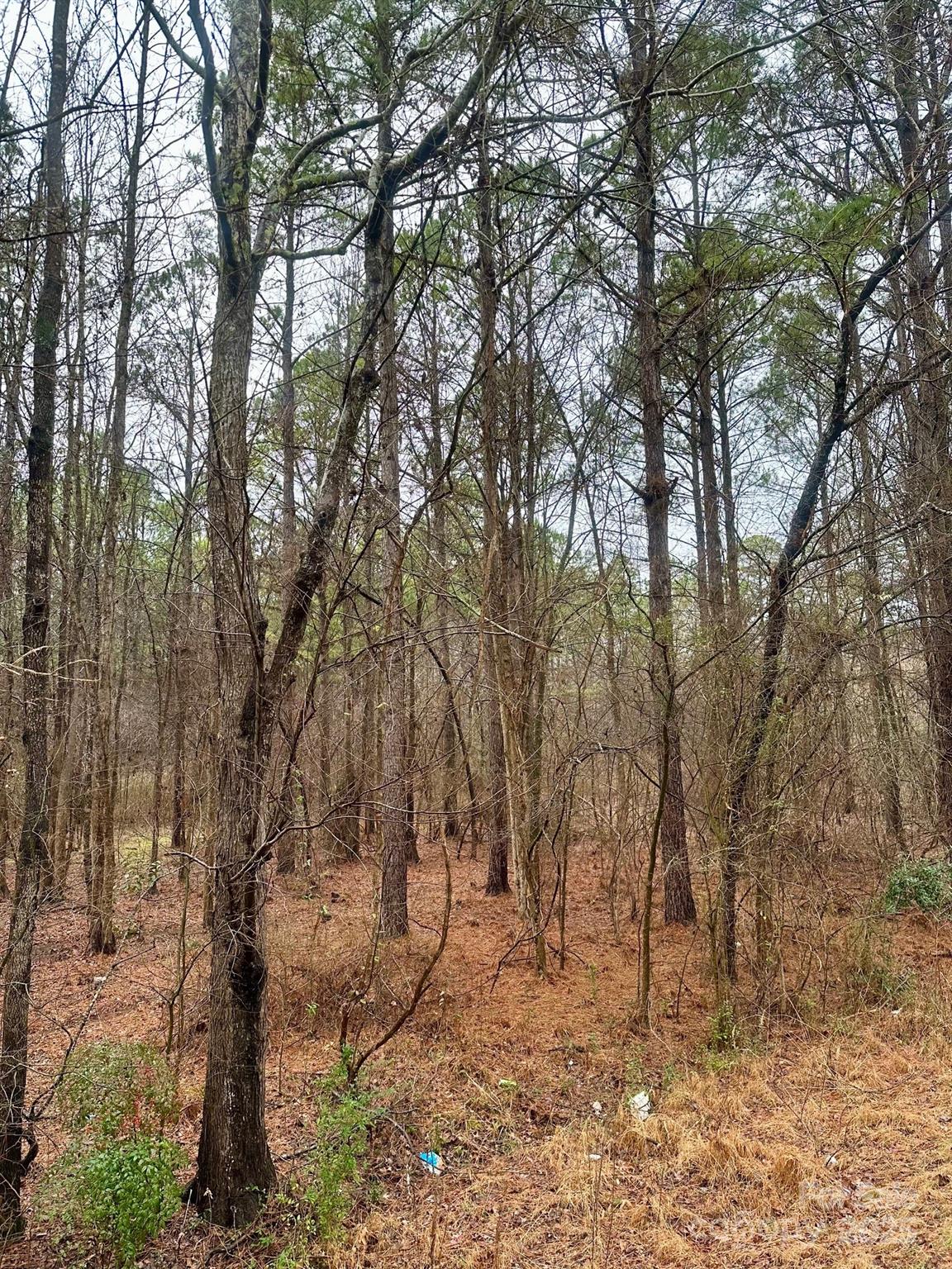 1176 Great Falls Highway Property Photo 2