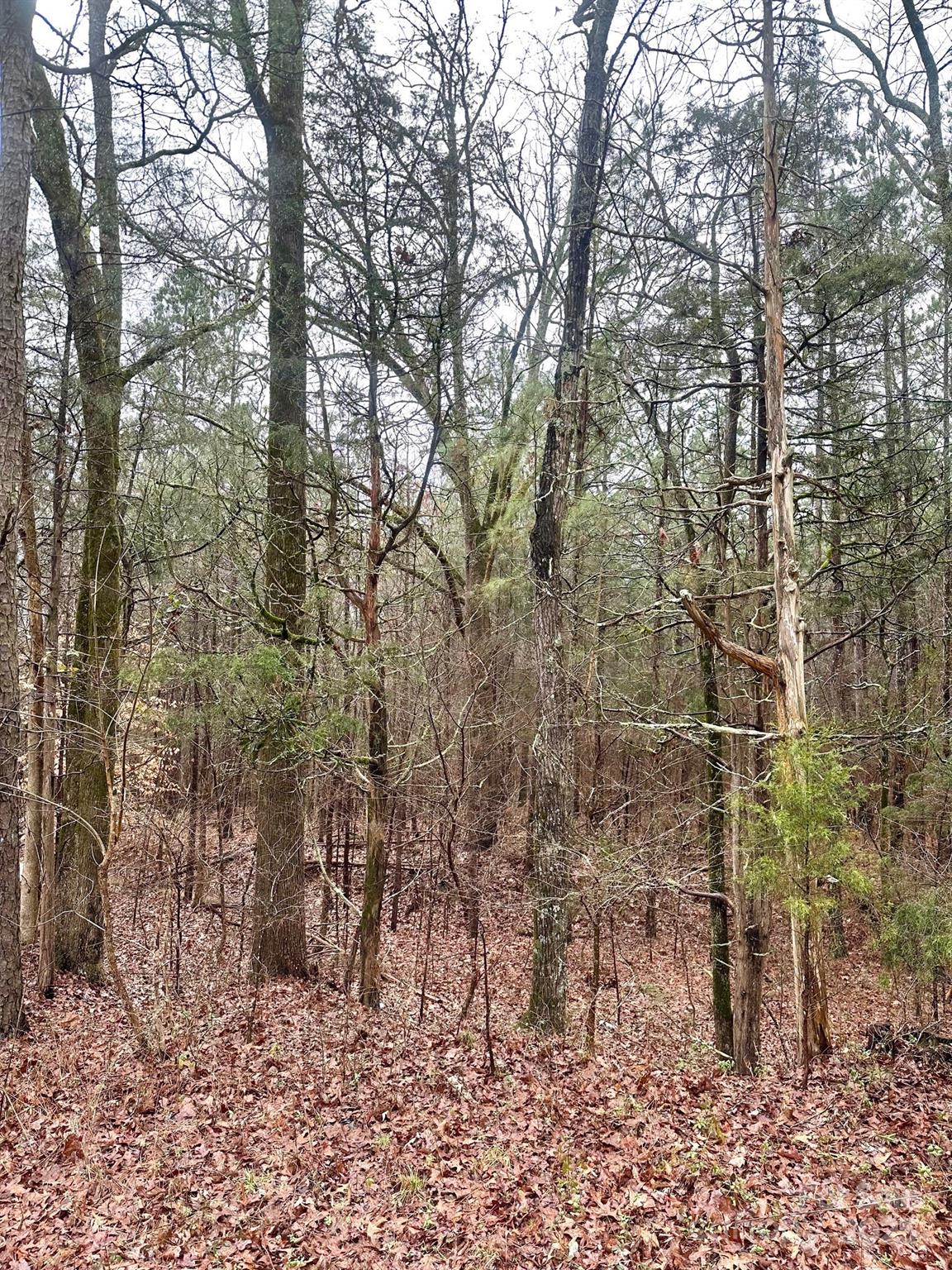 1176 Great Falls Highway Property Photo 4