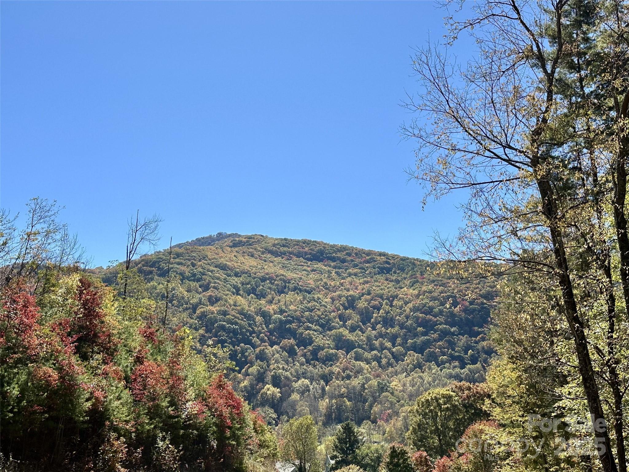 11 Freshwater Cove Property Photo 3