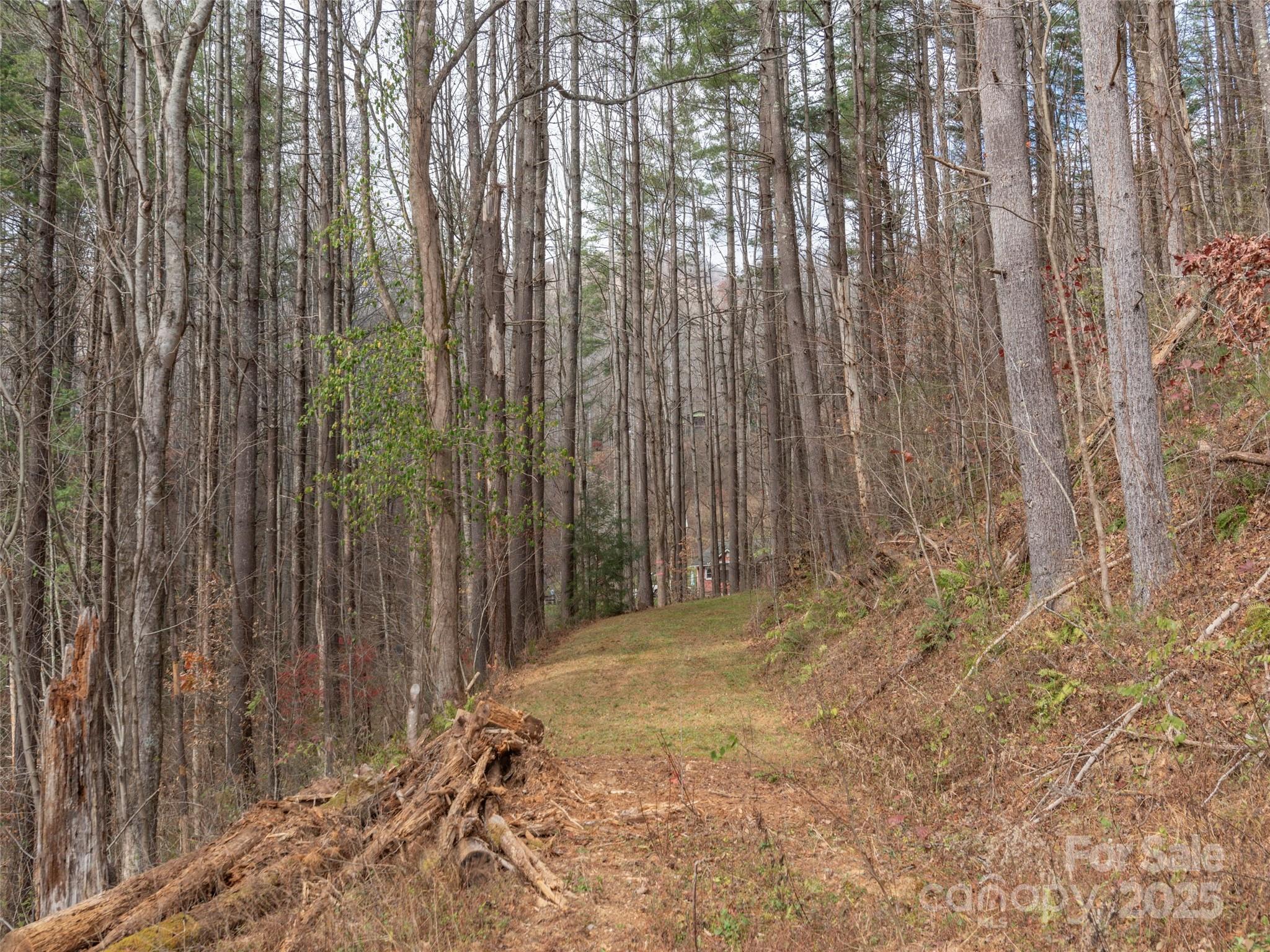 11 Freshwater Cove Property Photo 11