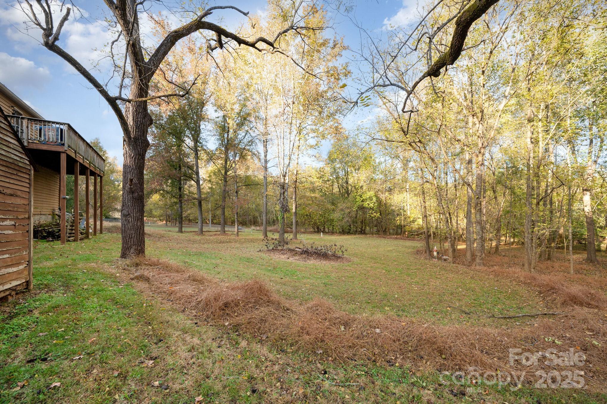 6013 Tall Tree Lane Property Photo 5