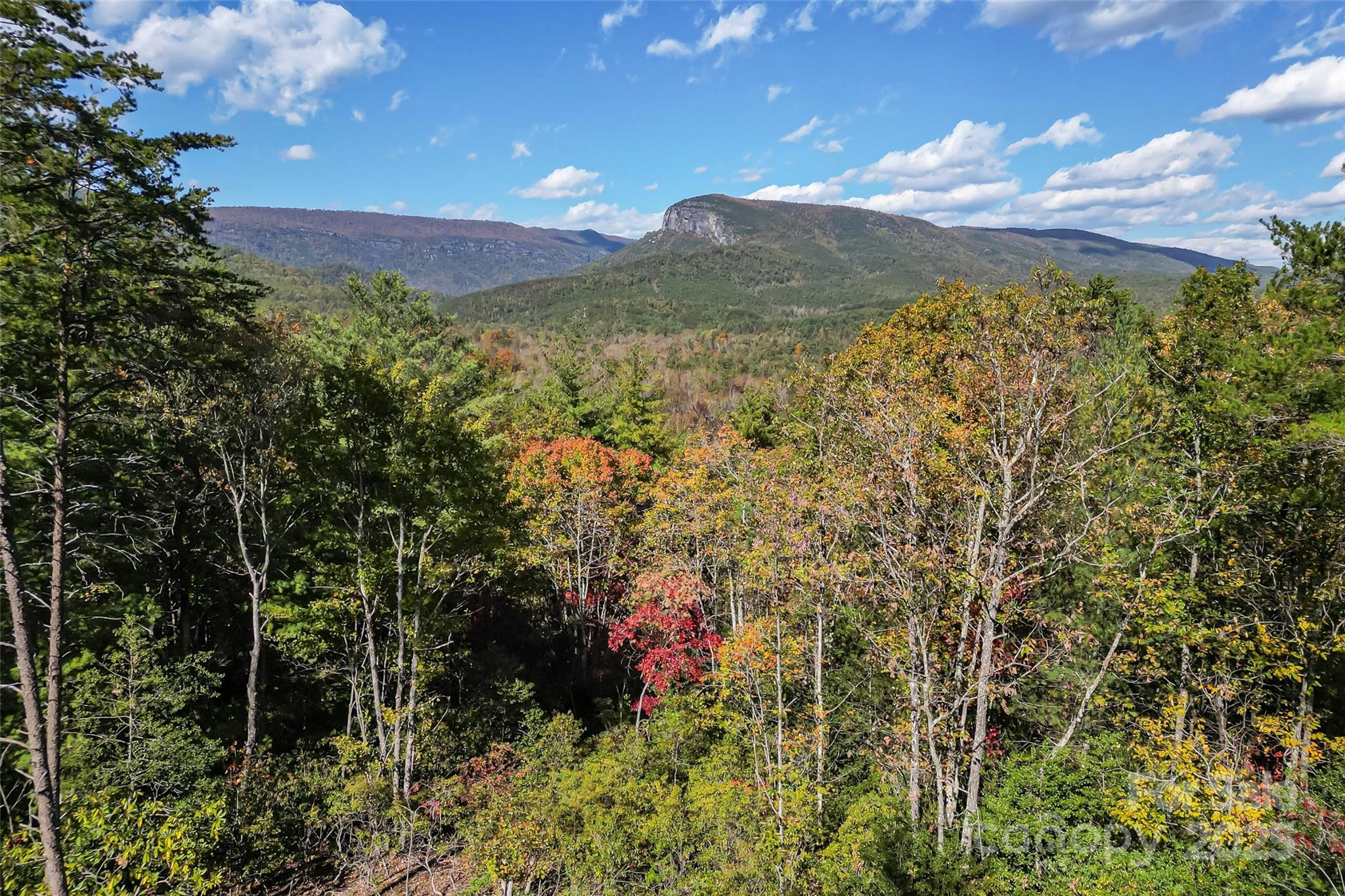 1963 Parks Drive Property Photo 1