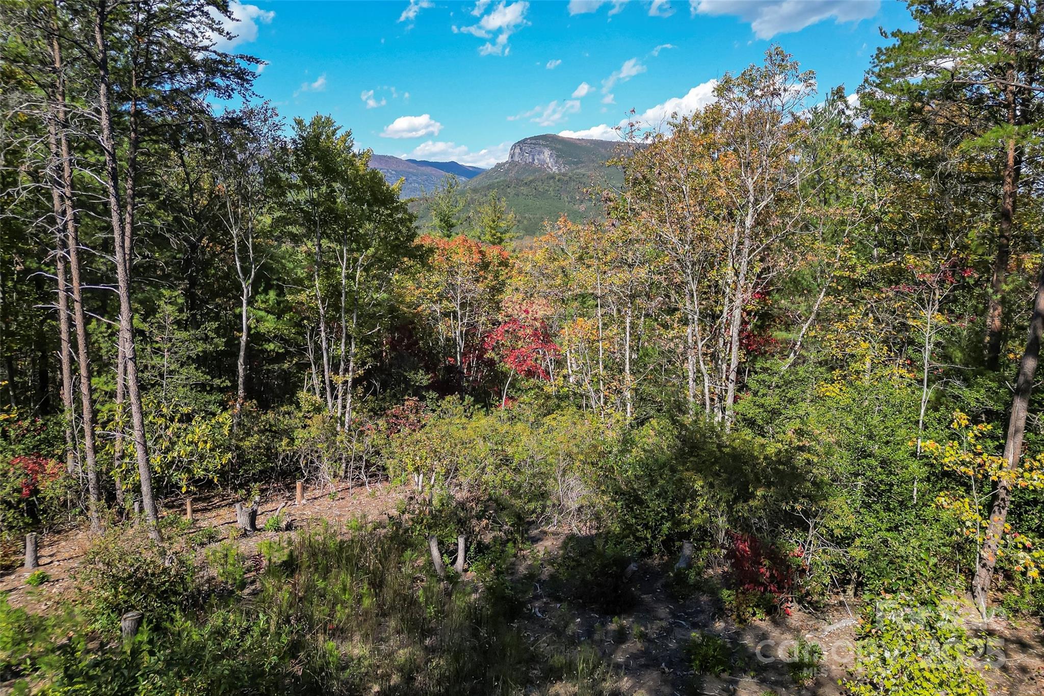 1963 Parks Drive Property Photo 3