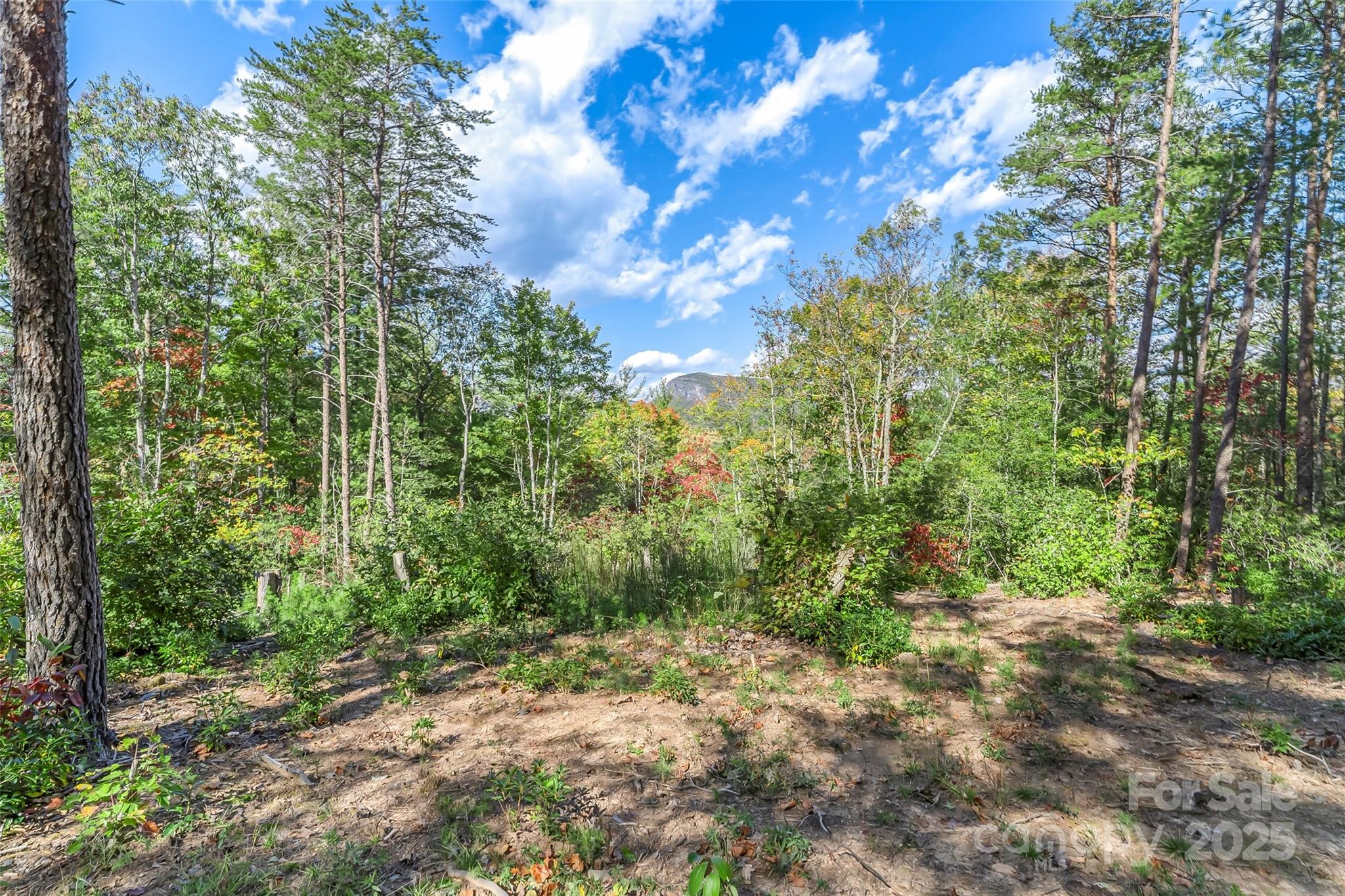 1963 Parks Drive Property Photo 7