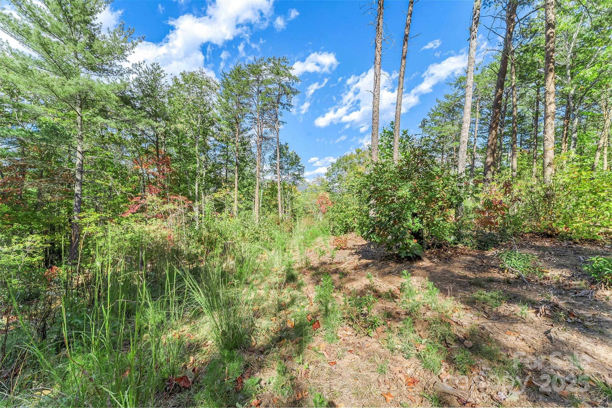 1963 Parks Drive Property Photo 8