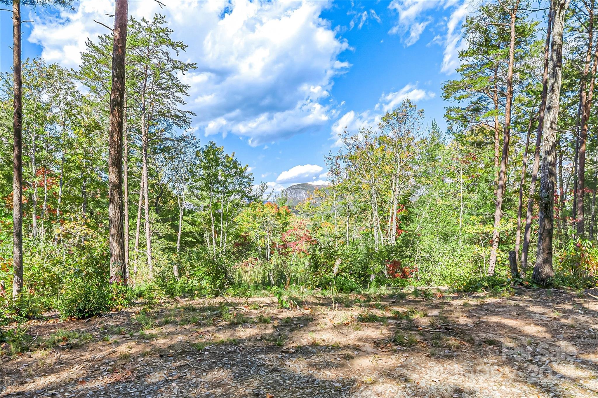 1963 Parks Drive Property Photo 10