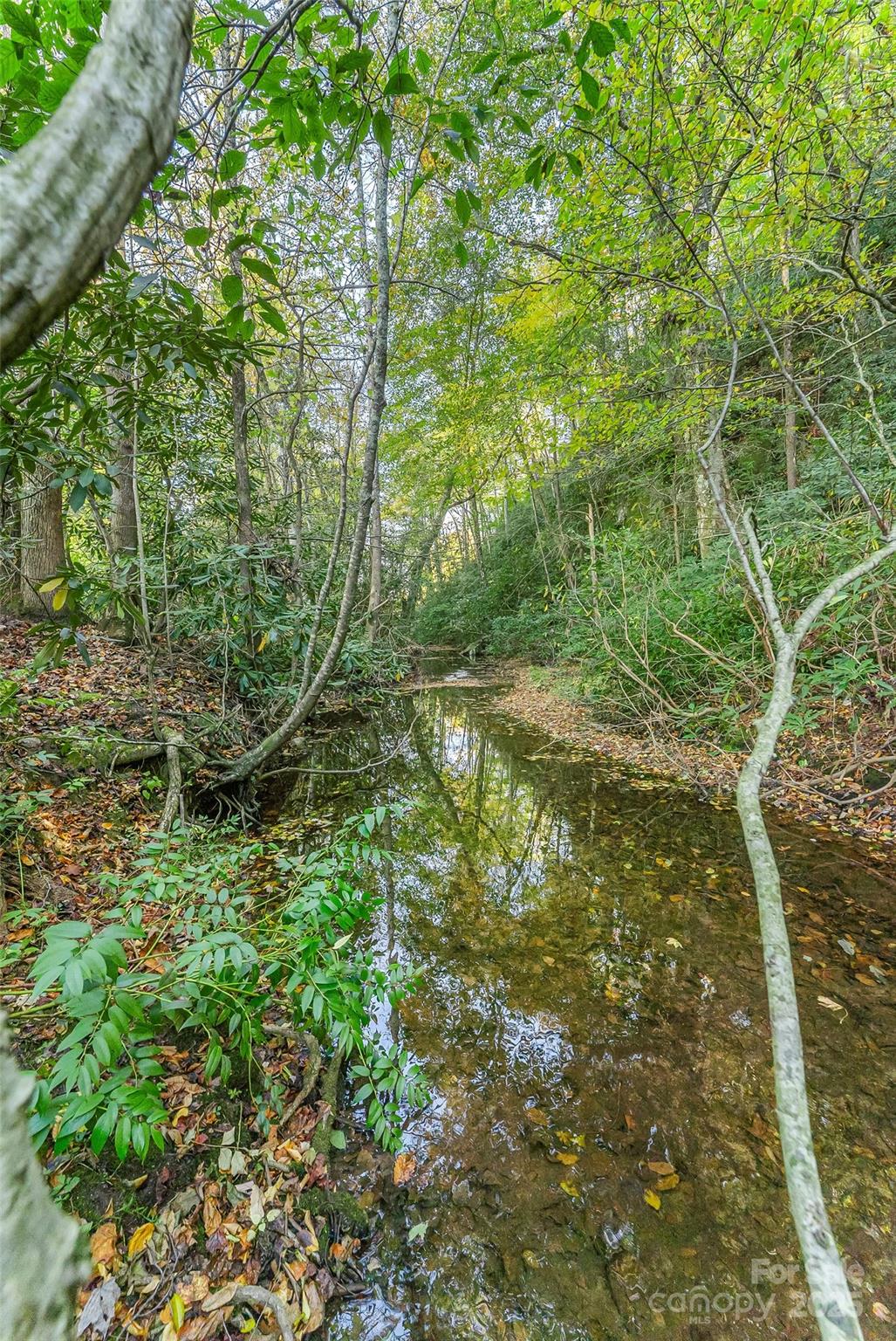 1963 Parks Drive Property Photo 13