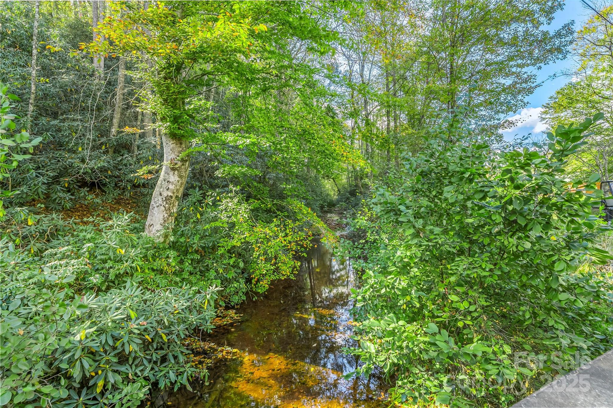 1963 Parks Drive Property Photo 14