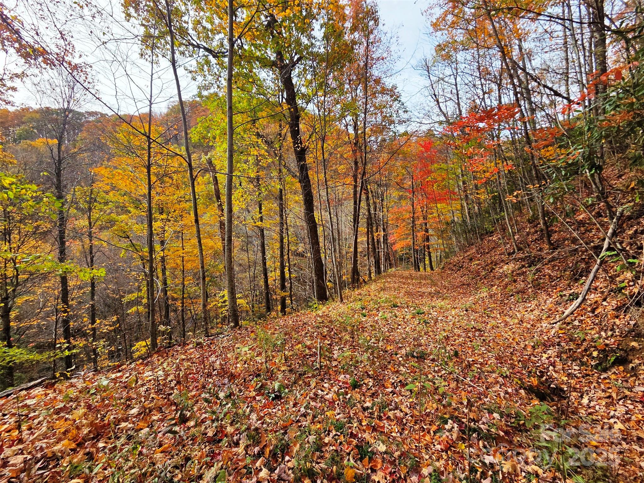 355 Moonshineholler Drive Property Photo 1