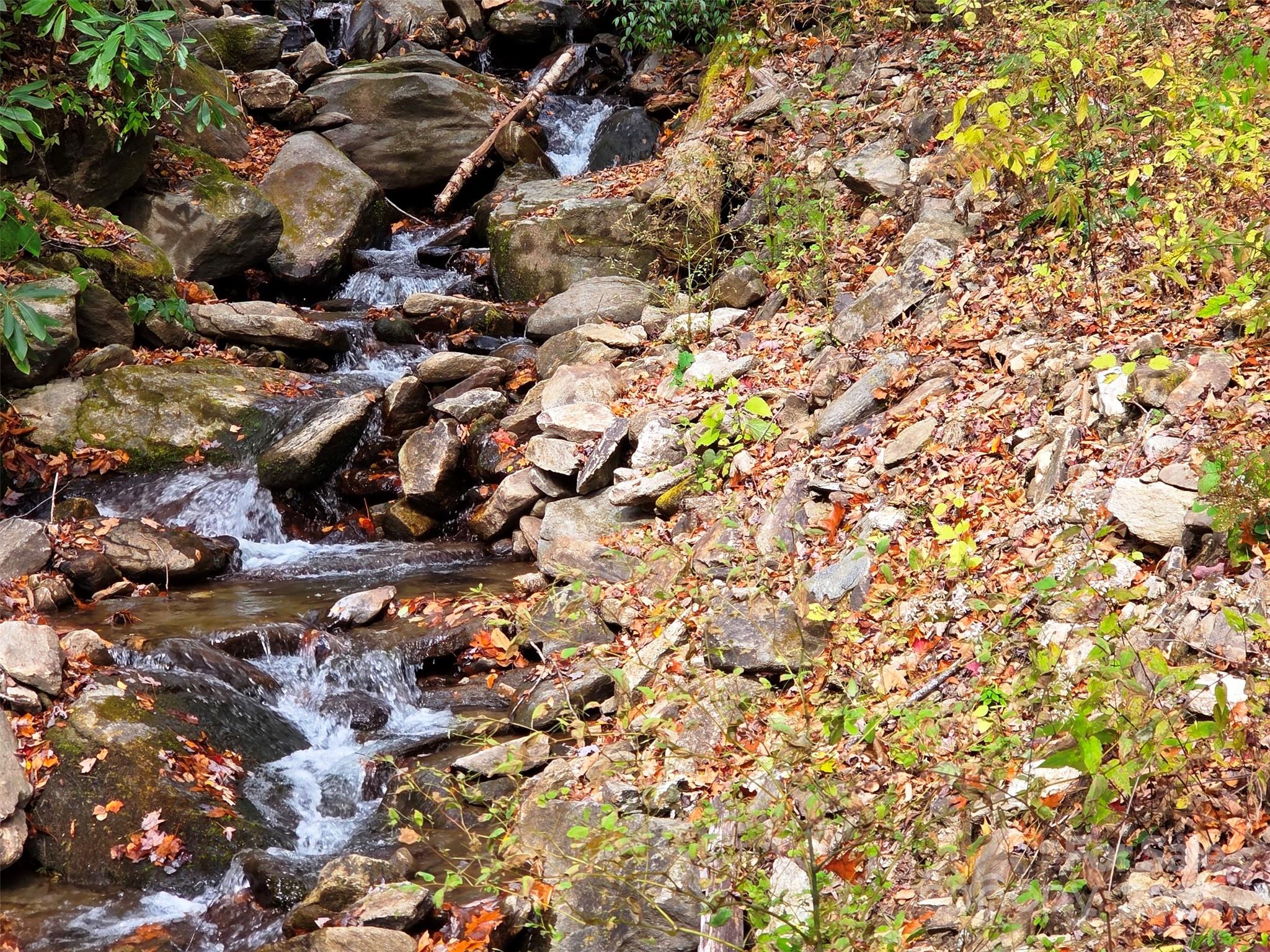 355 Moonshineholler Drive Property Photo 4