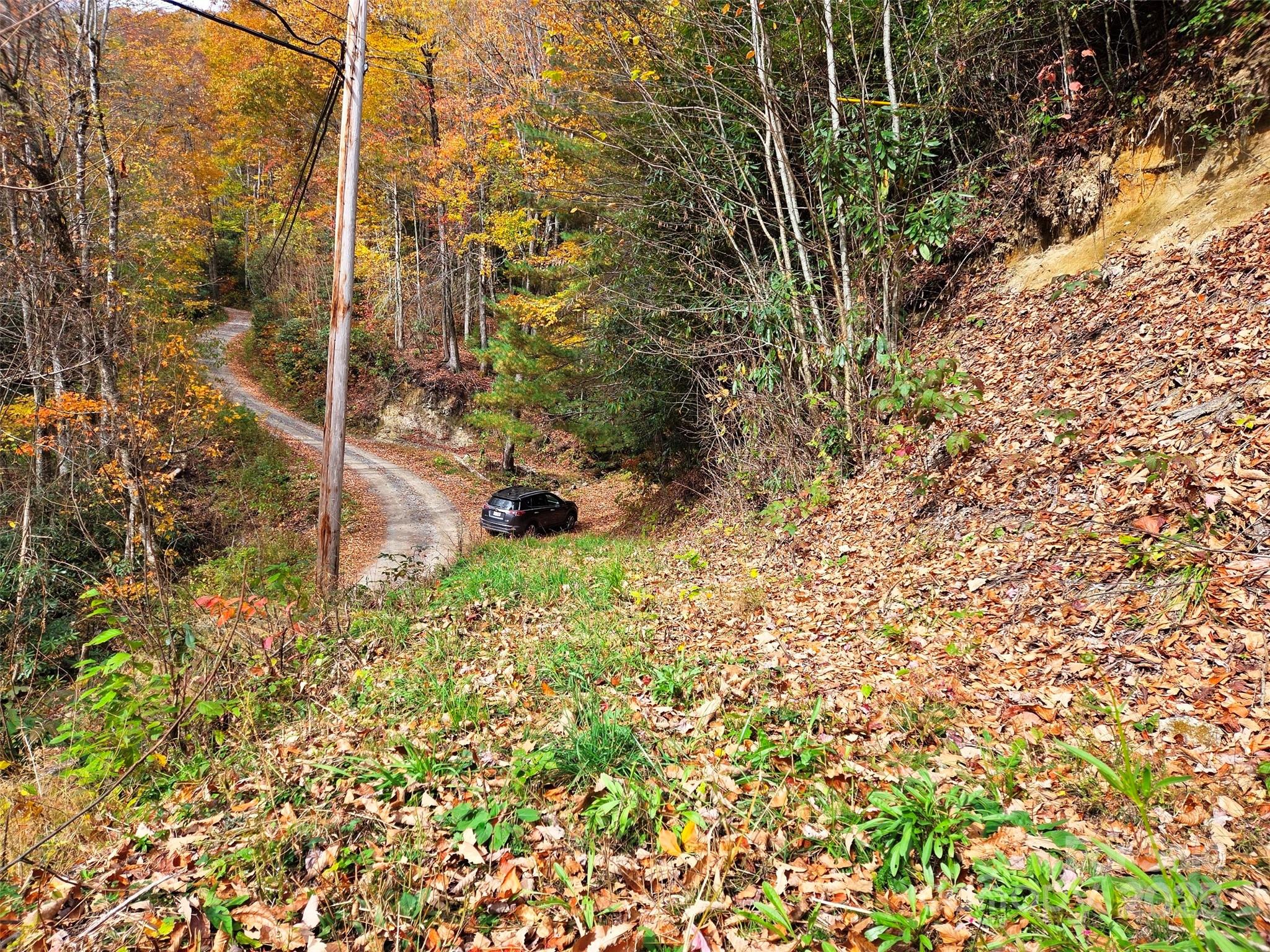 355 Moonshineholler Drive Property Photo 5