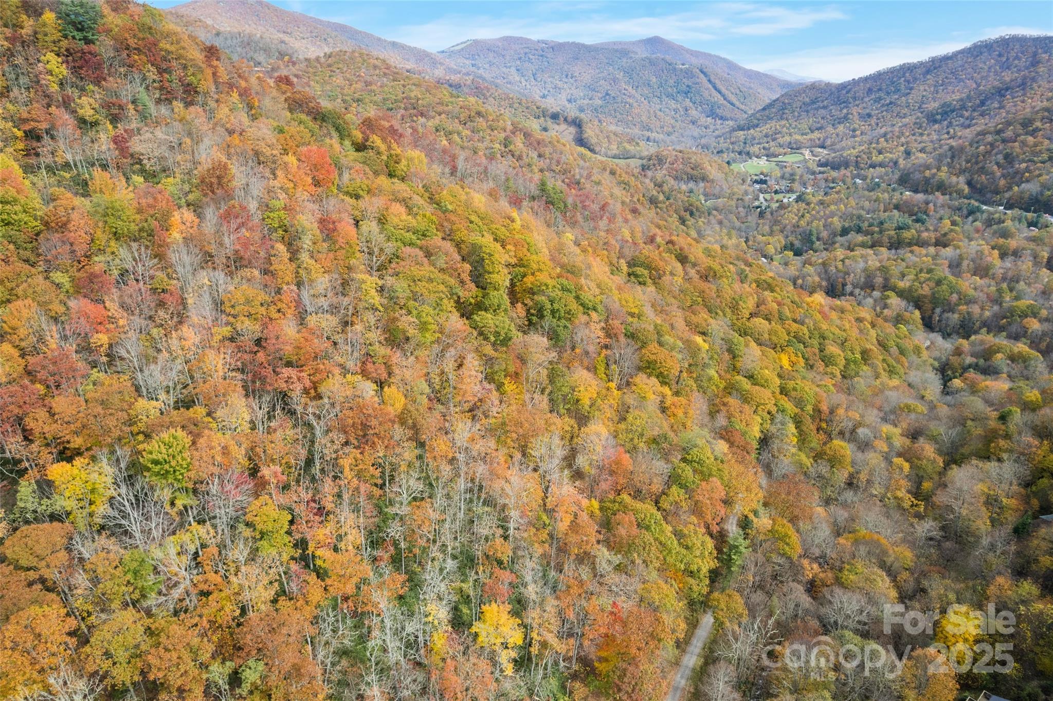 355 Moonshineholler Drive Property Photo 7