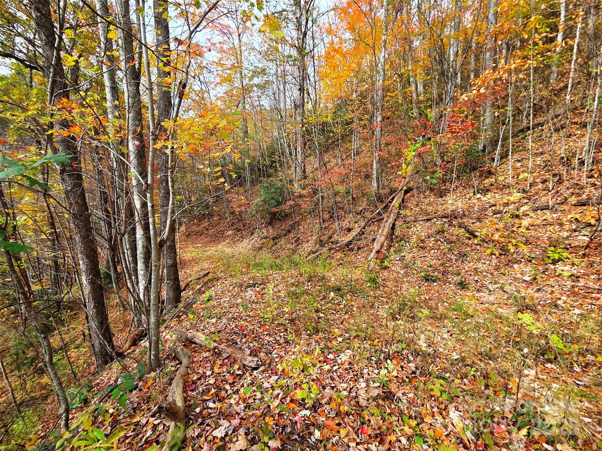 355 Moonshineholler Drive Property Photo 9