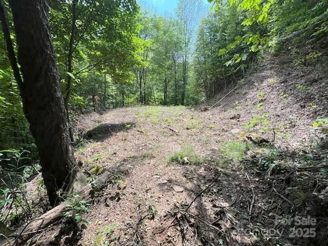 355 Moonshineholler Drive Property Photo 11