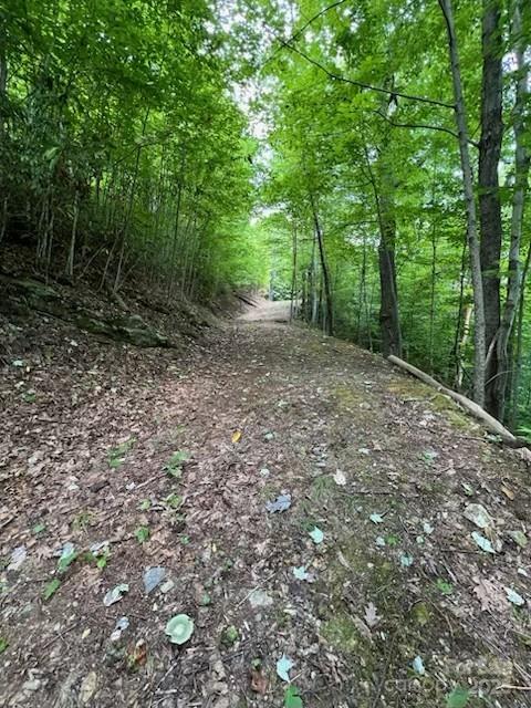 355 Moonshineholler Drive Property Photo 12