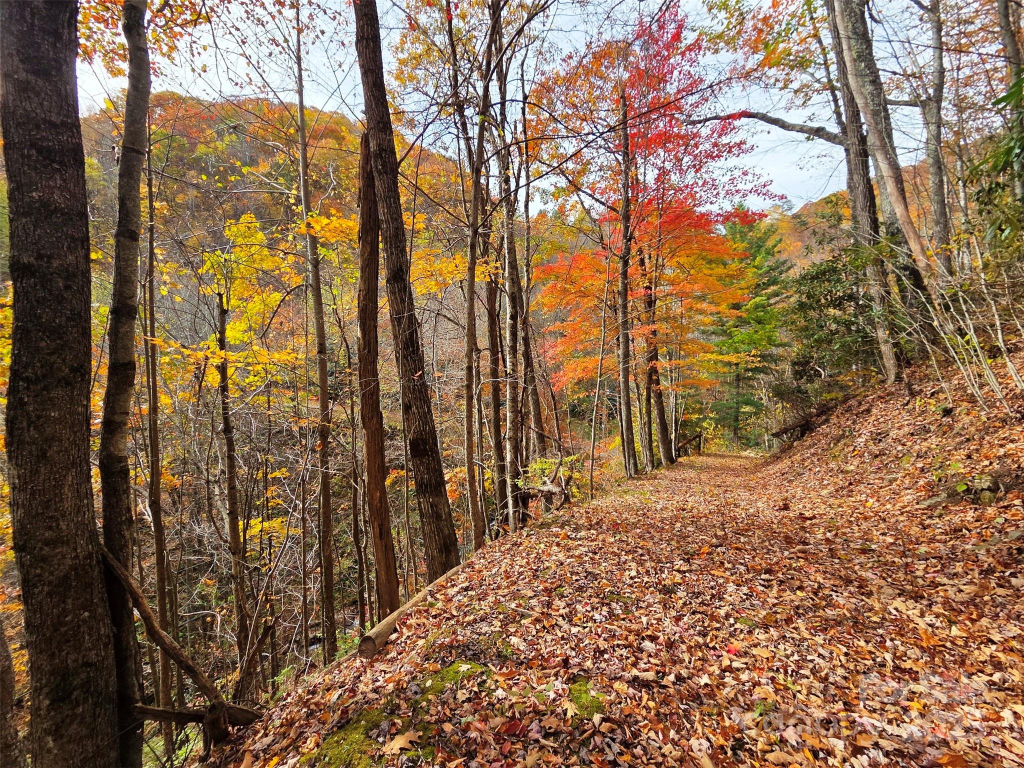 355 Moonshineholler Drive Property Photo 13