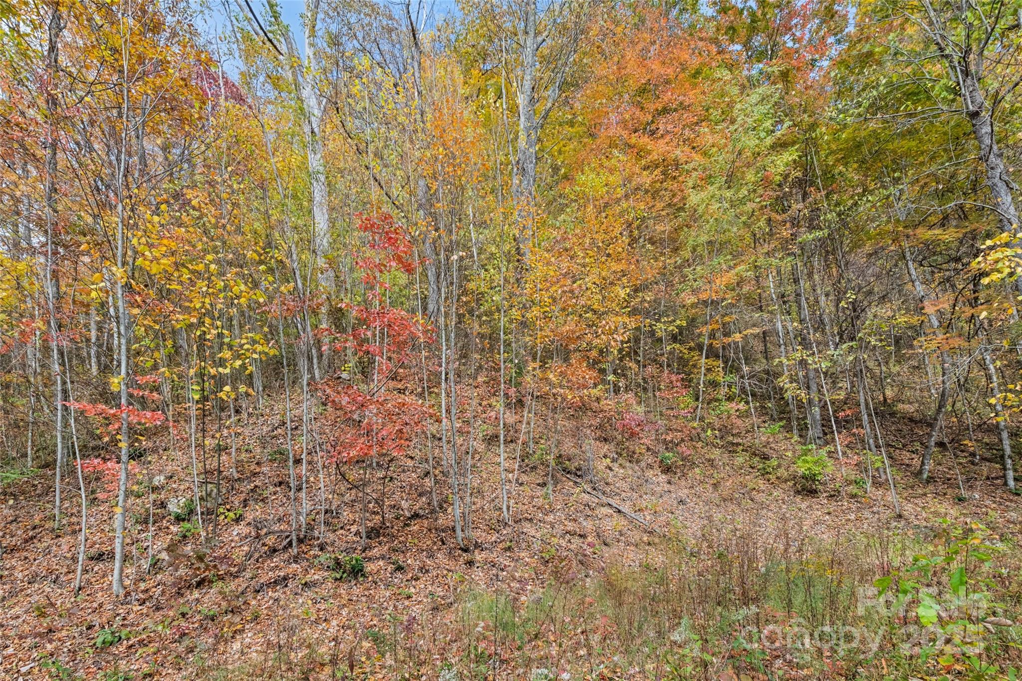 355 Moonshineholler Drive Property Photo 14