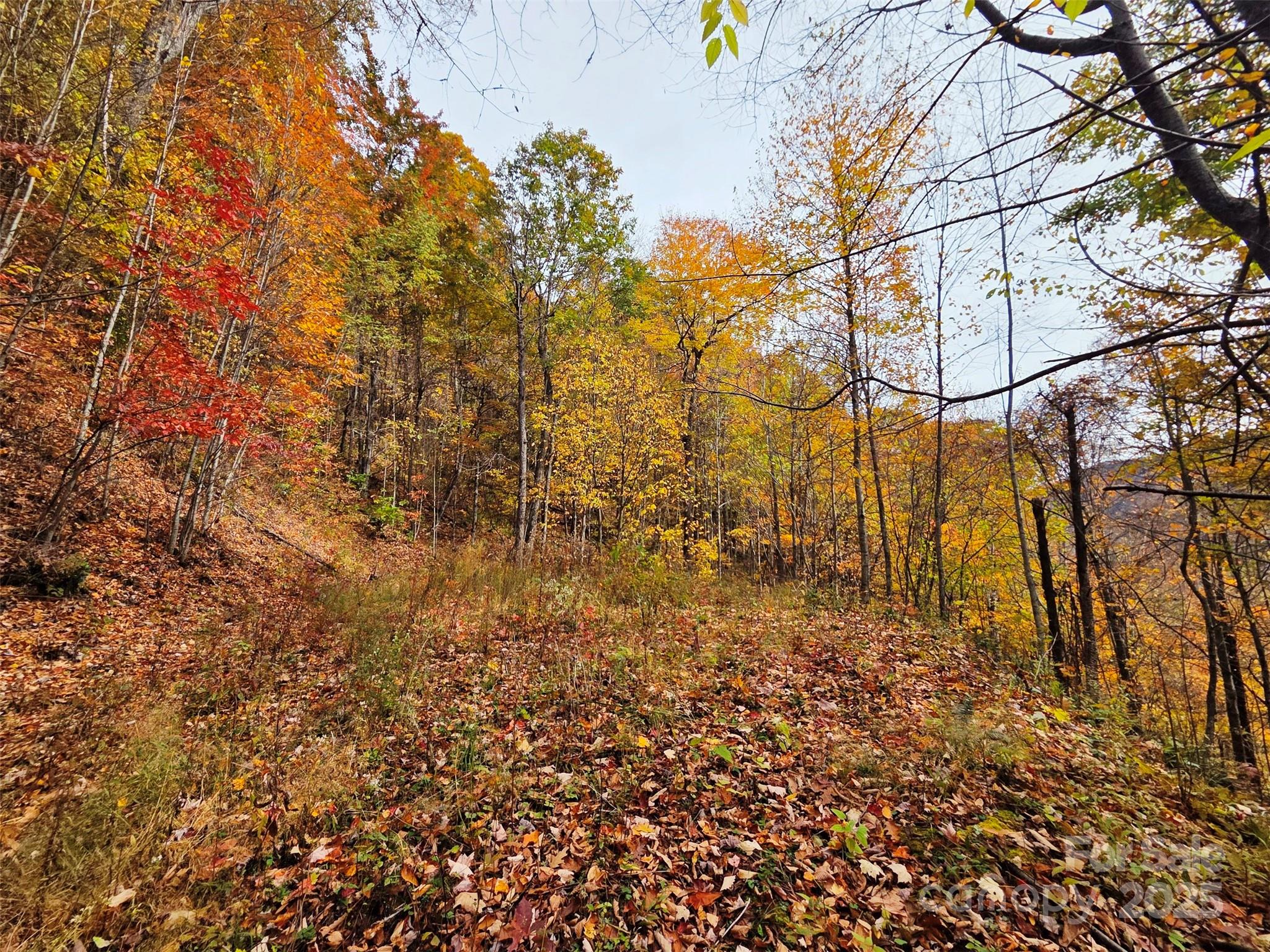 355 Moonshineholler Drive Property Photo 15