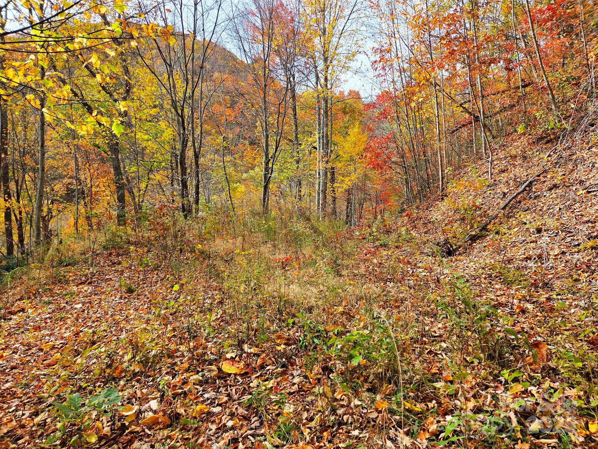 355 Moonshineholler Drive Property Photo 16