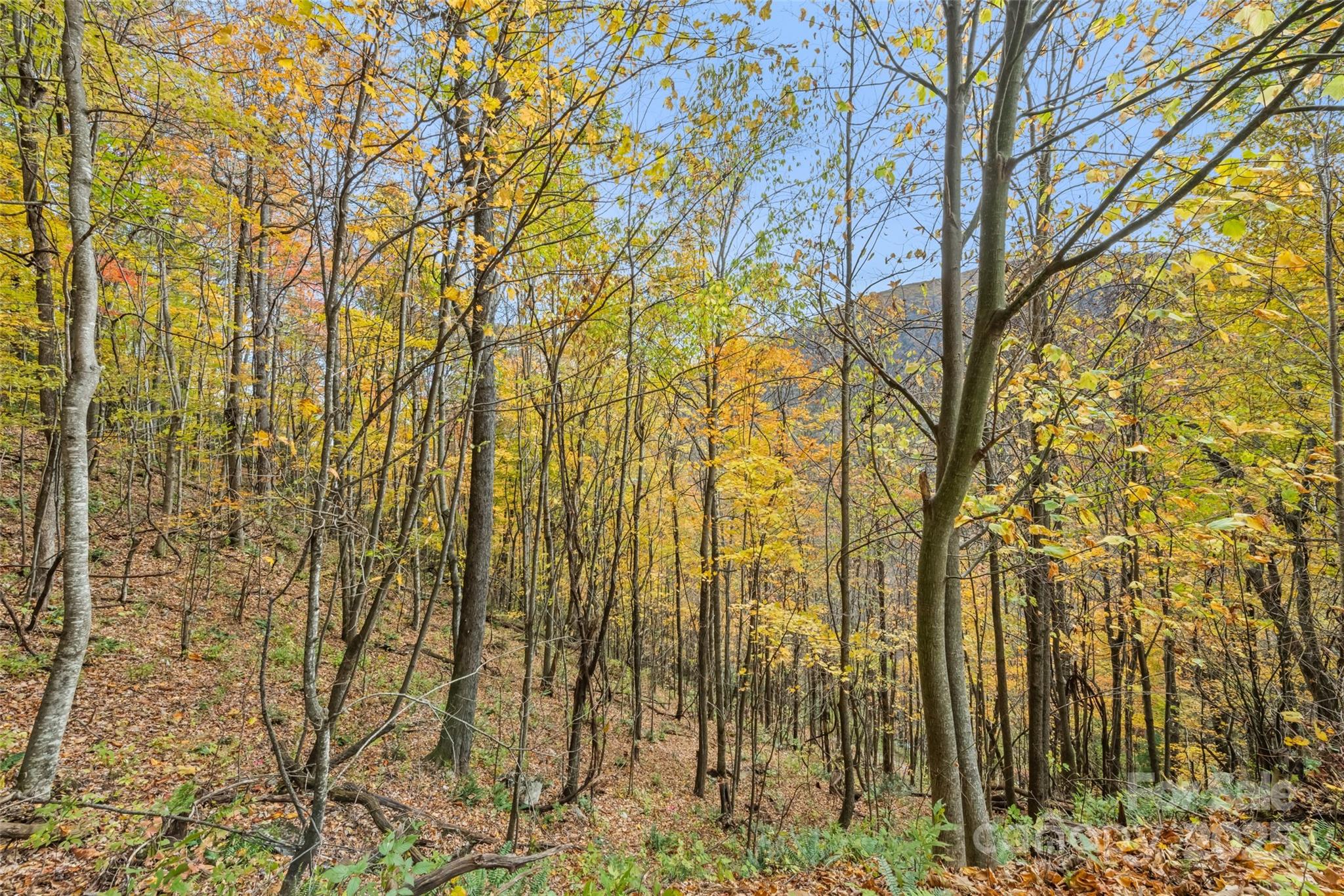 355 Moonshineholler Drive Property Photo 17