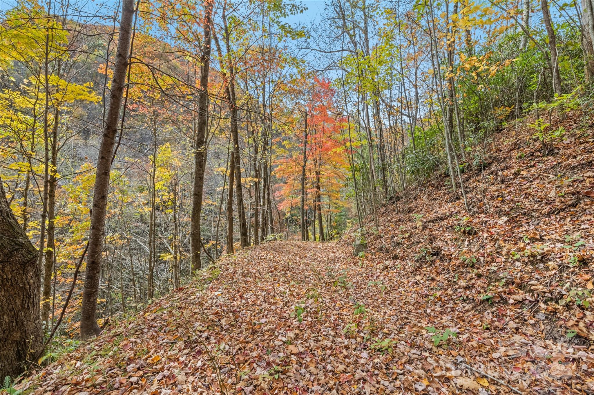 355 Moonshineholler Drive Property Photo 21