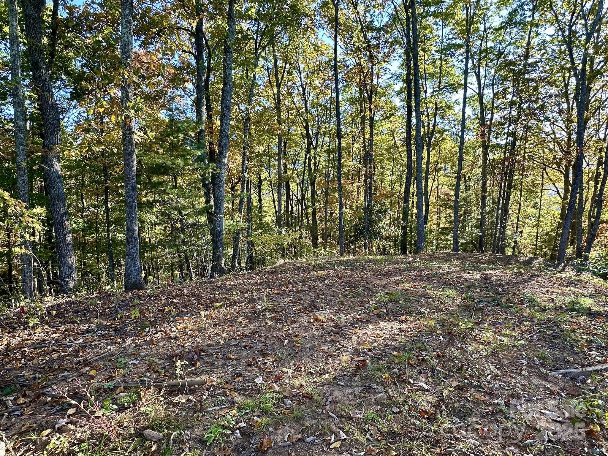 534 Cicada Drive Property Photo 3