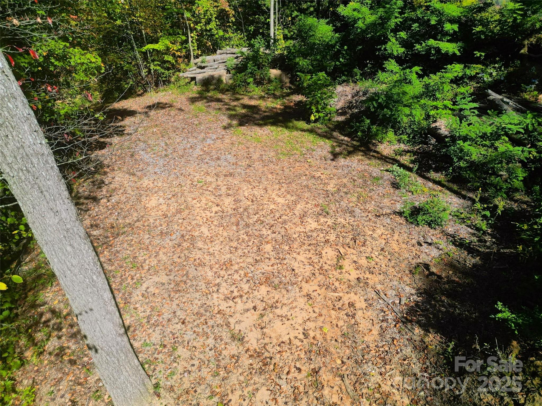 534 Cicada Drive Property Photo 6